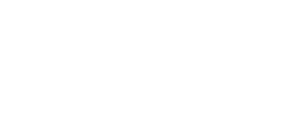Integrated Mission Intelligence logo